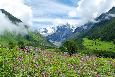 Majestic Ranikhet & Nainital