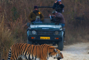 Charismatic Uttarakhand