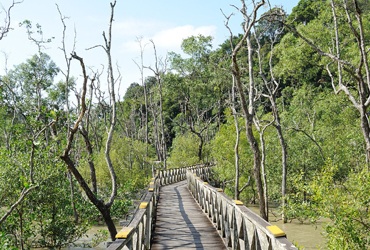  Singapore Langkawi Tour  